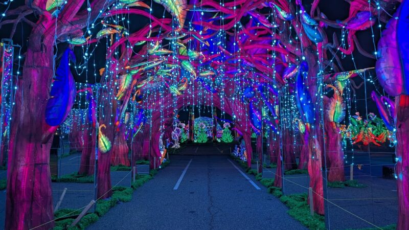 Lot E Citi Field Parking Lot - Corona, NY