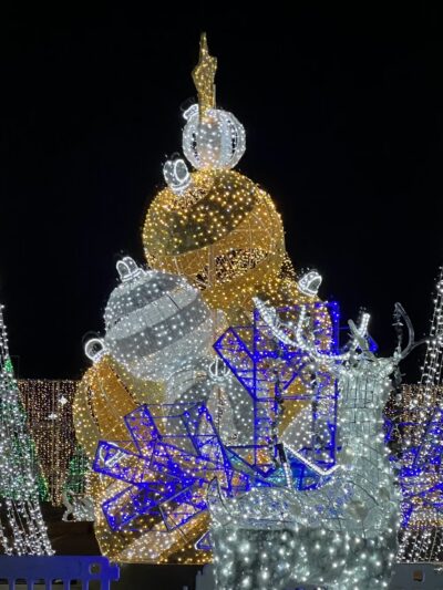 Lot E Citi Field Parking Lot - Corona, NY