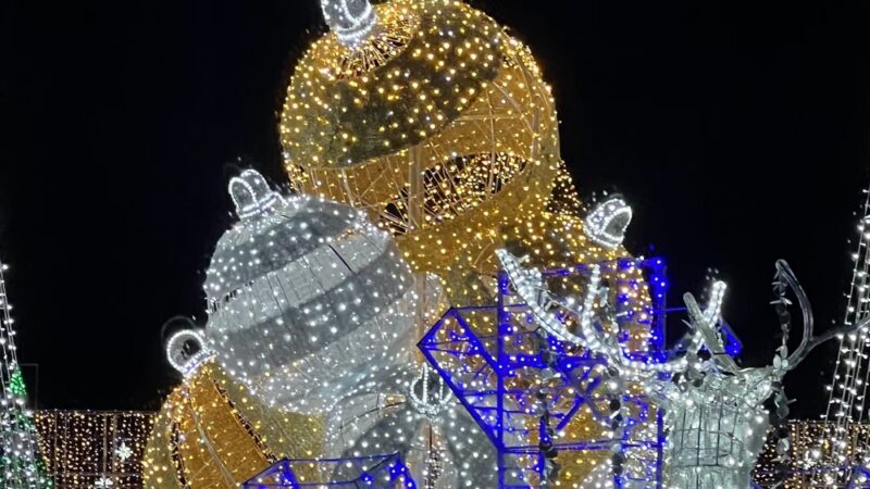 Lot E Citi Field Parking Lot - Corona, NY