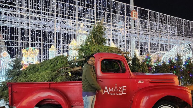 Lot E Citi Field Parking Lot - Corona, NY