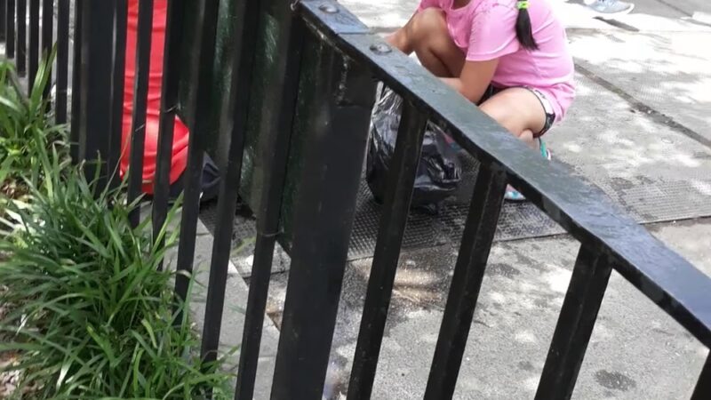 Park Of The Americas - Corona, NY