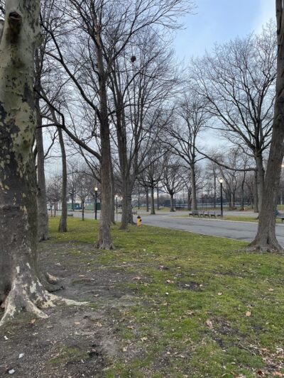 Buzz Vollmer Playground - Corona, NY
