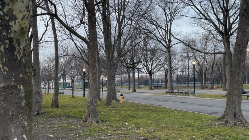 Buzz Vollmer Playground - Corona, NY