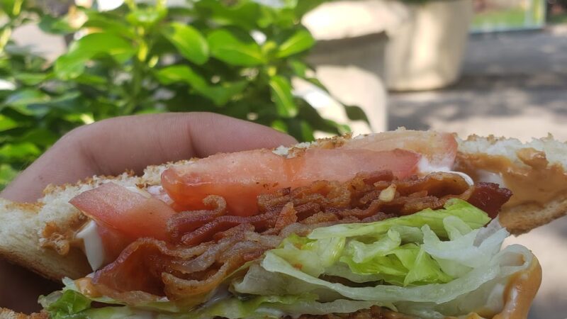 Tommy's Doghouse - Corona, NY