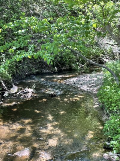 Hartford beach walking trail - Corona, SD