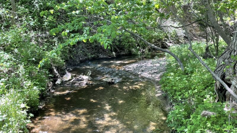 Hartford beach walking trail - Corona, SD