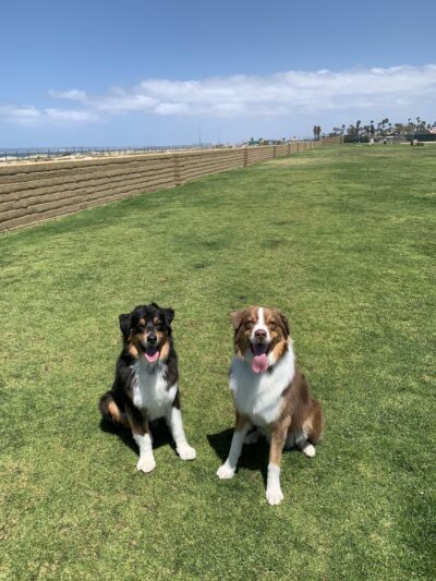 Coronado Cays Dog Park - Coronado, CA