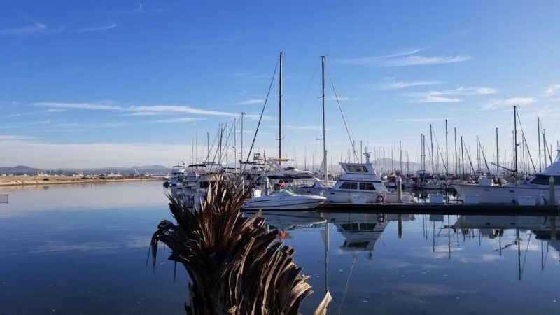 Fiddlers Cove Dog Run - Coronado, CA