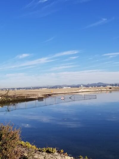 Fiddlers Cove Dog Run - Coronado, CA