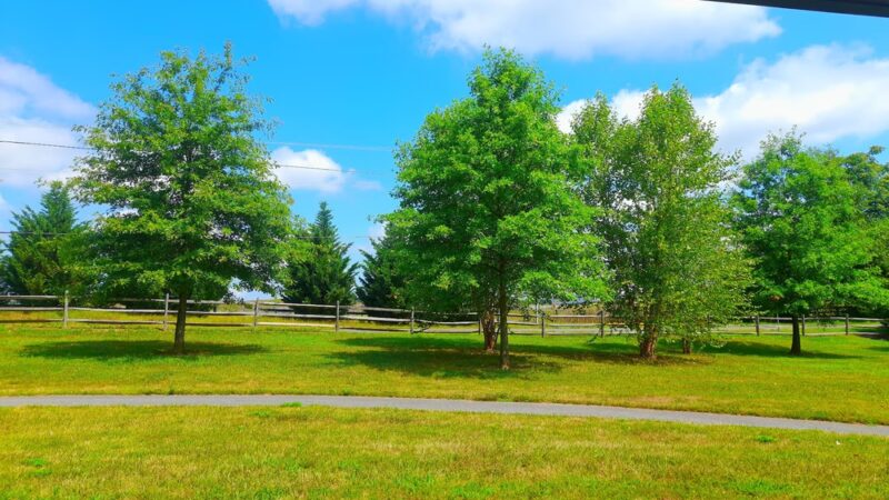 Elgin Park - Corry, PA