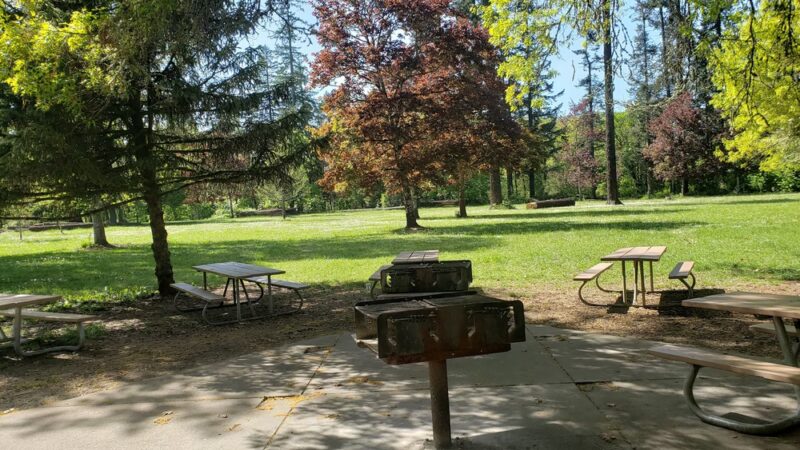 Avery Park & Natural Area - Corvallis, OR