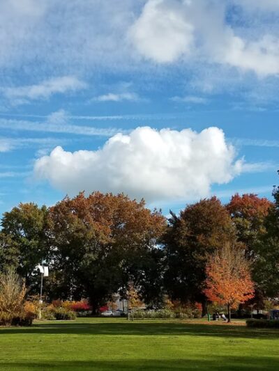 Central Park - Corvallis, OR