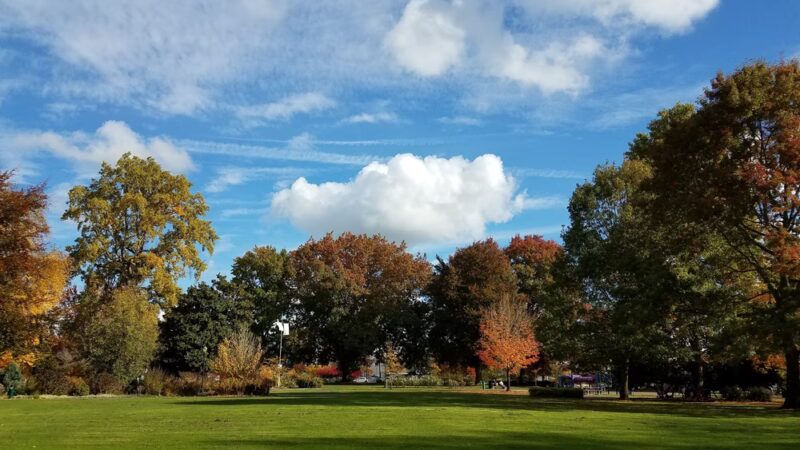 Central Park - Corvallis, OR