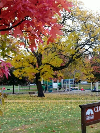 Cloverland City Park - Corvallis, OR