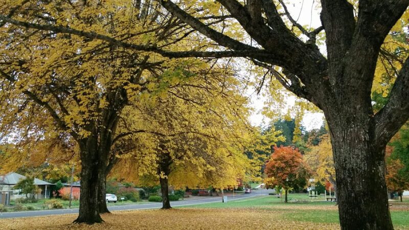 Cloverland City Park - Corvallis, OR