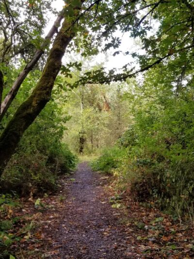 Crystal Lake Sports Fields - Corvallis, OR