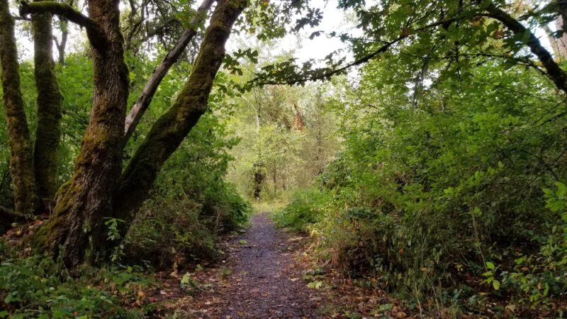 Crystal Lake Sports Fields - Corvallis, OR