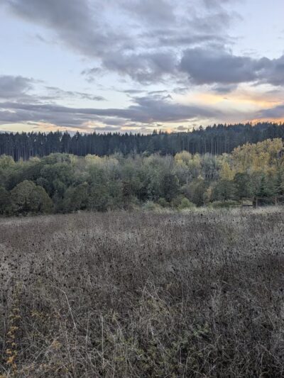 Dr. Martin Luther King Jr Park - Corvallis, OR