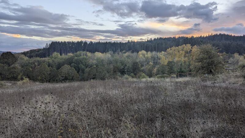 Dr. Martin Luther King Jr Park - Corvallis, OR