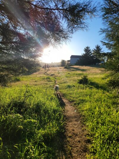 Dr. Martin Luther King Jr Park - Corvallis, OR
