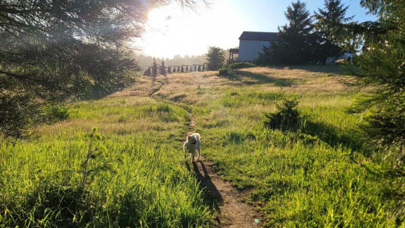 Dr. Martin Luther King Jr Park - Corvallis, OR
