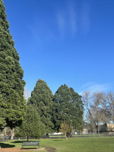 Garfield Park - Corvallis, OR