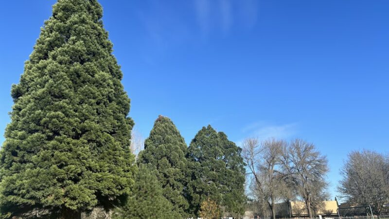 Garfield Park - Corvallis, OR