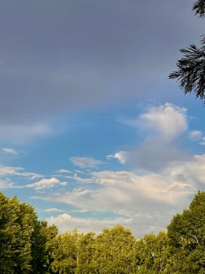 Garfield Park - Corvallis, OR