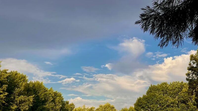 Garfield Park - Corvallis, OR