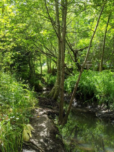 Porter Park - Corvallis, OR