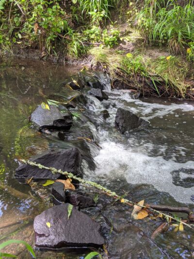 Porter Park - Corvallis, OR