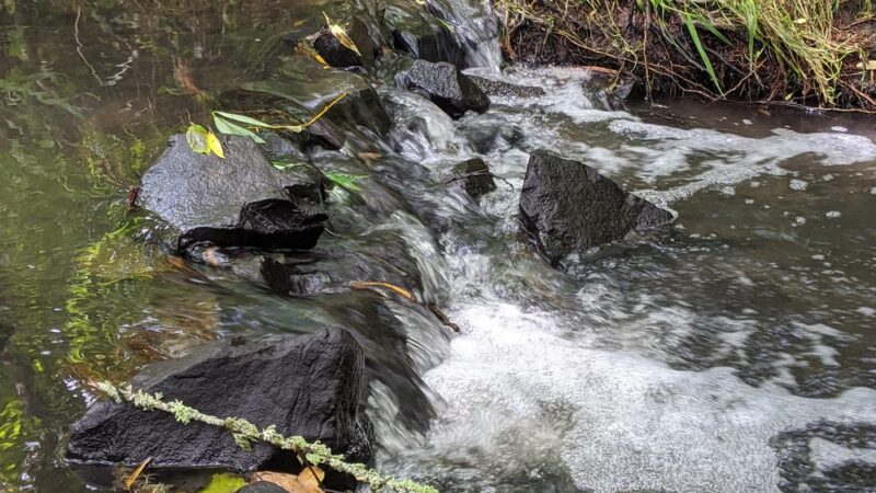 Porter Park - Corvallis, OR