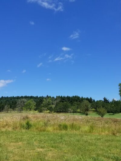 Timberhill Park - Corvallis, OR