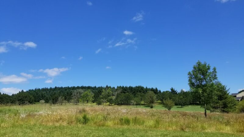 Timberhill Park - Corvallis, OR