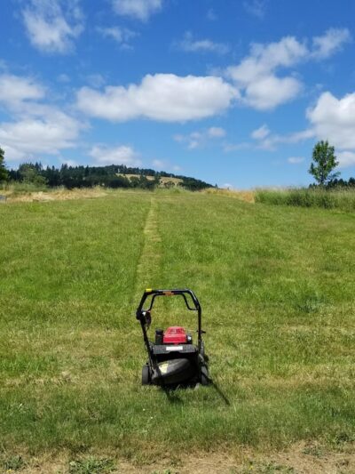 Timberhill Park - Corvallis, OR