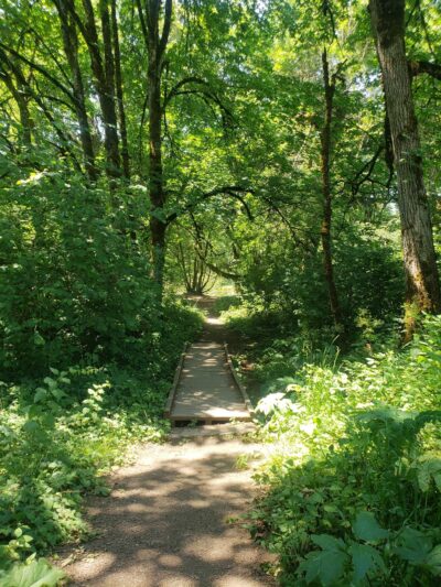 Willamette Park And Natural Area - Corvallis, OR