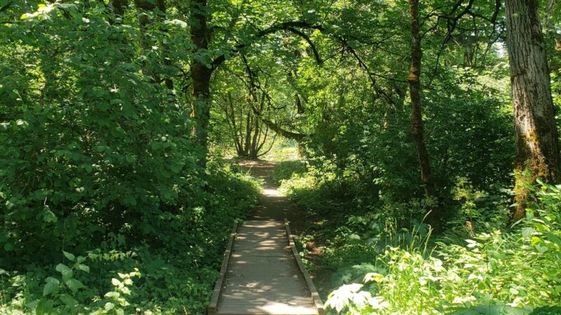 Willamette Park And Natural Area - Corvallis, OR
