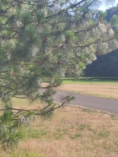 Willamette Park And Natural Area - Corvallis, OR