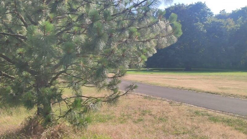 Willamette Park And Natural Area - Corvallis, OR