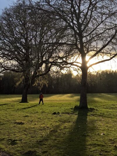 Willamette Park And Natural Area - Corvallis, OR