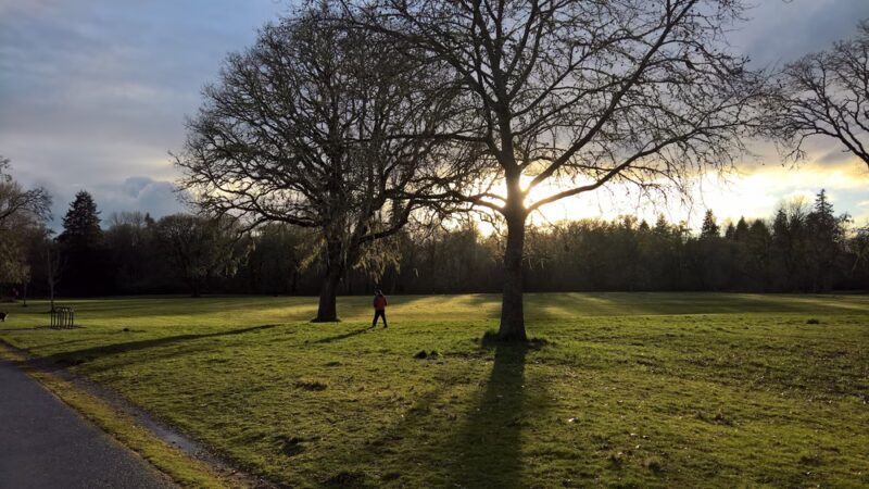 Willamette Park And Natural Area - Corvallis, OR
