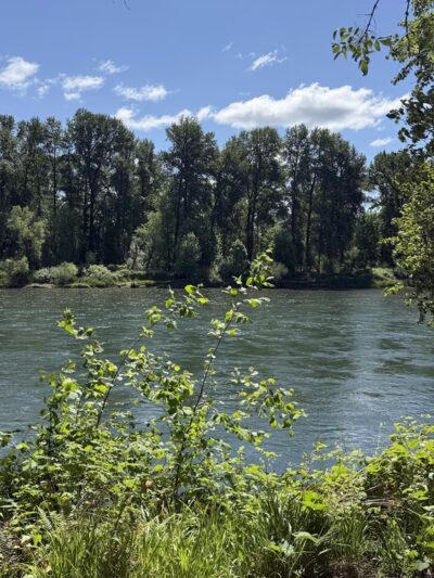 Willamette Park And Natural Area - Corvallis, OR