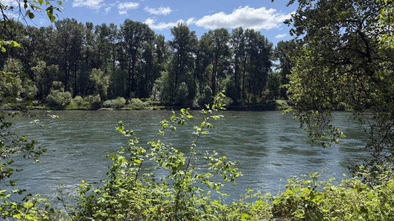 Willamette Park And Natural Area - Corvallis, OR