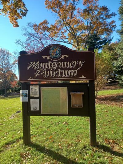 Montgomery Pinetum - Cos Cob, CT