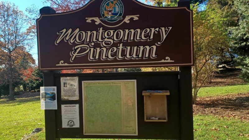Montgomery Pinetum - Cos Cob, CT