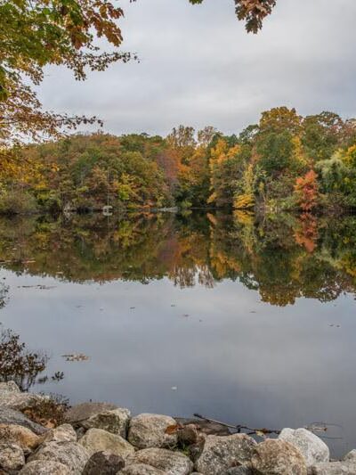 Montgomery Pinetum - Cos Cob, CT