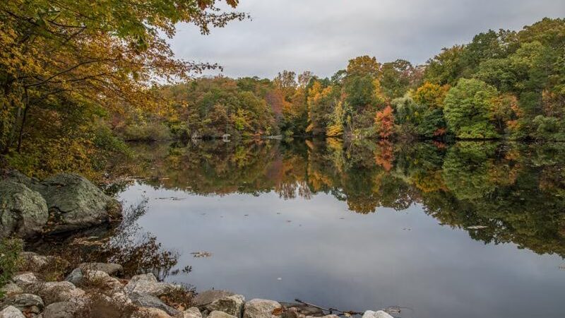Montgomery Pinetum - Cos Cob, CT