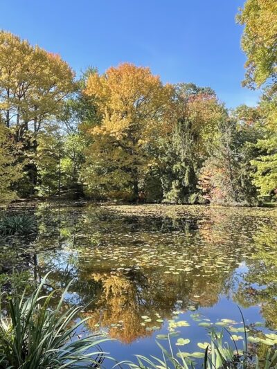 Montgomery Pinetum - Cos Cob, CT