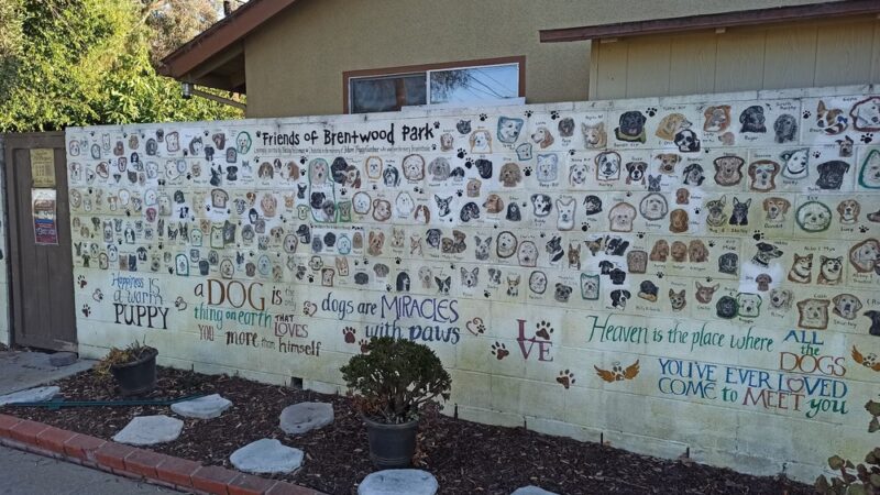 Brentwood Park - Costa Mesa, CA