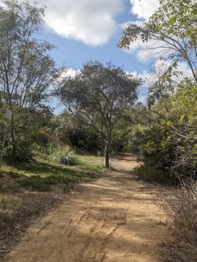 Canyon Park - Costa Mesa, CA